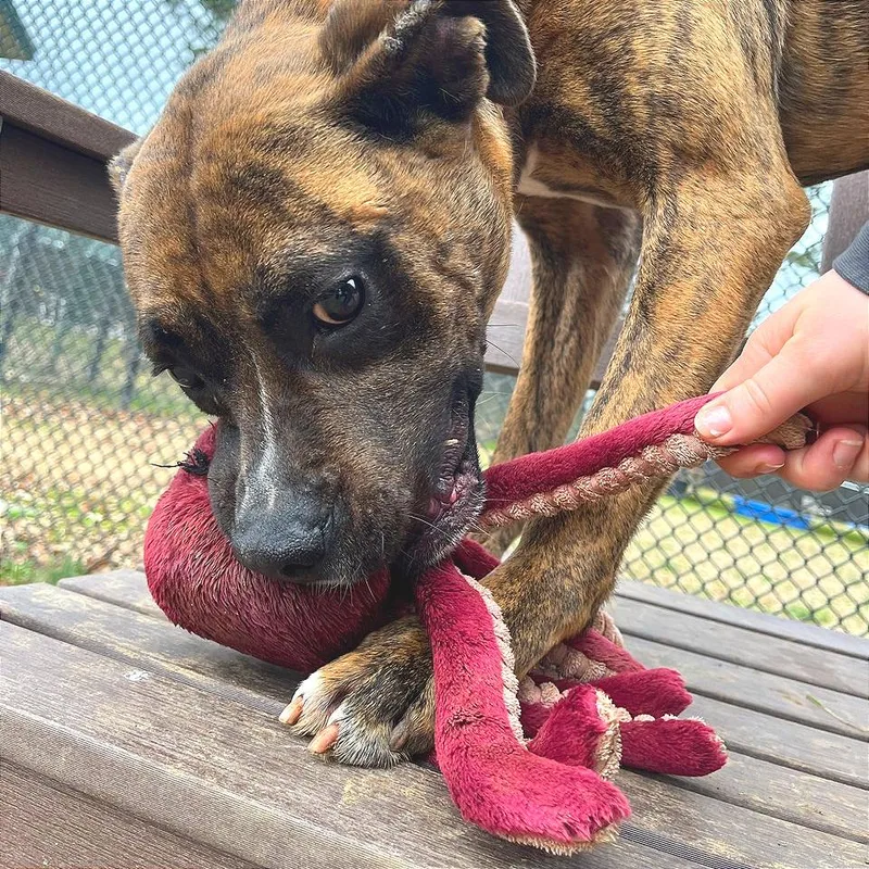 Mayweather thumbnail 6