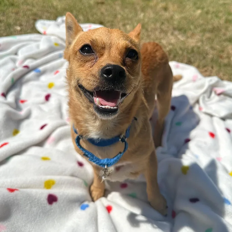 Wyatt thumbnail 2