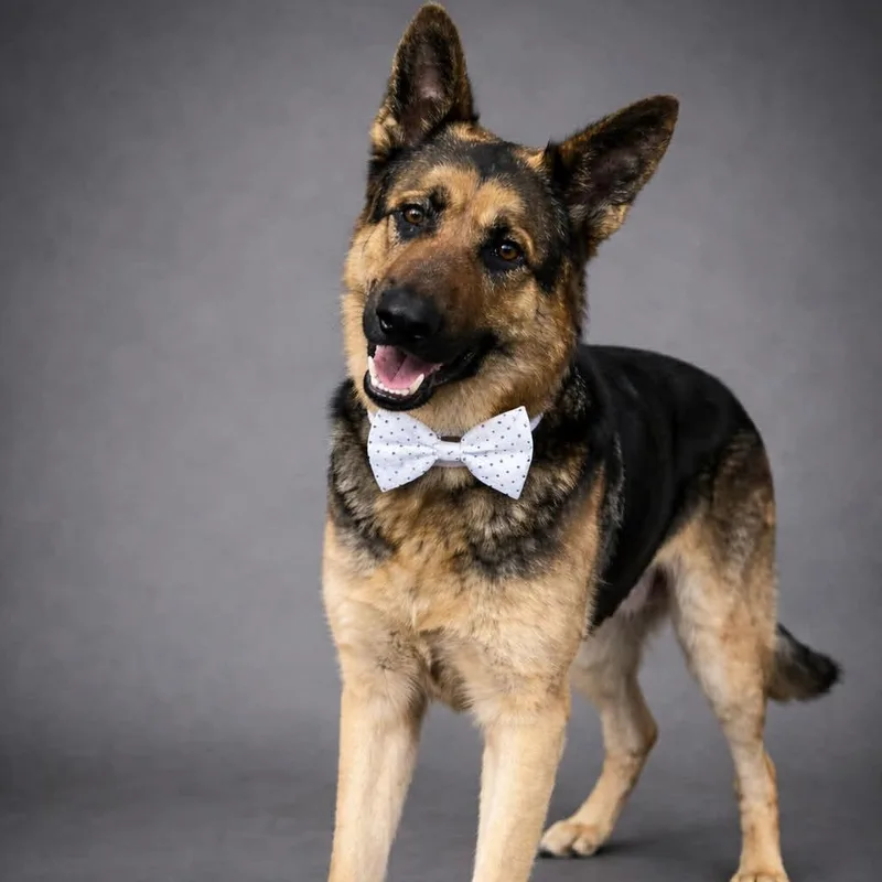 Monty Gs thumbnail 2