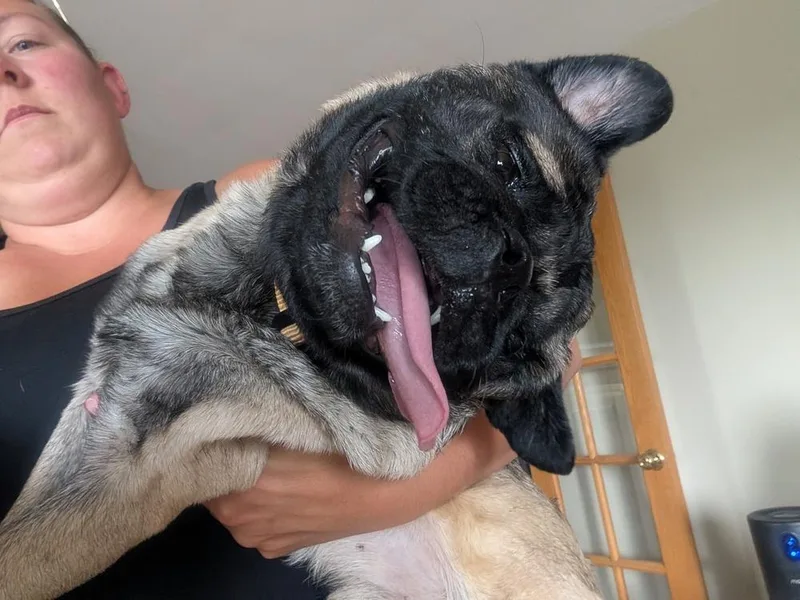 Stevie thumbnail 2