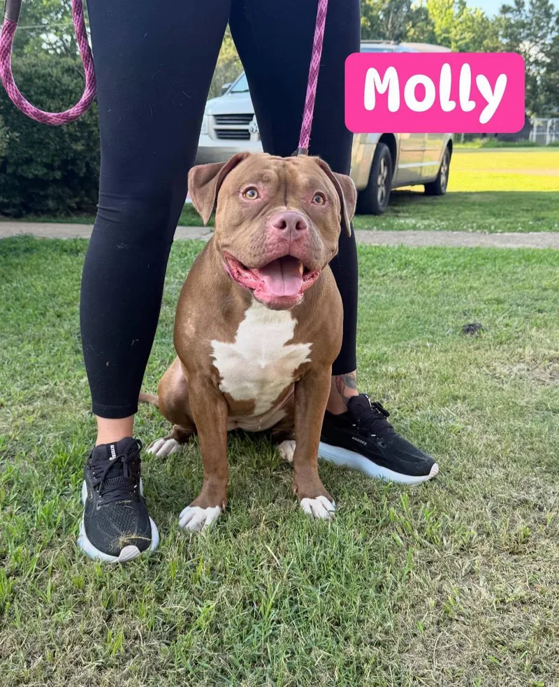 Molly thumbnail 3