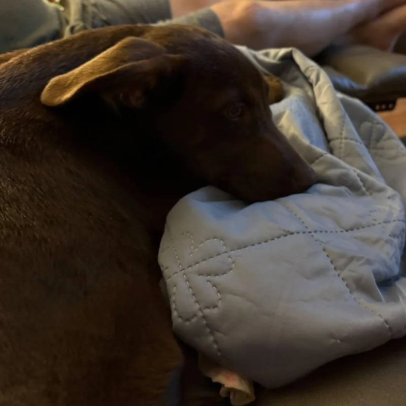 Tootsie thumbnail 6