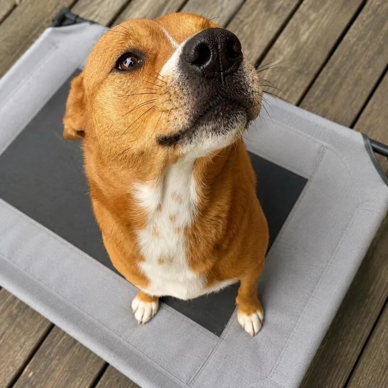 Maggie thumbnail 3