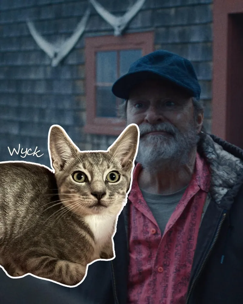 Wyck thumbnail 4