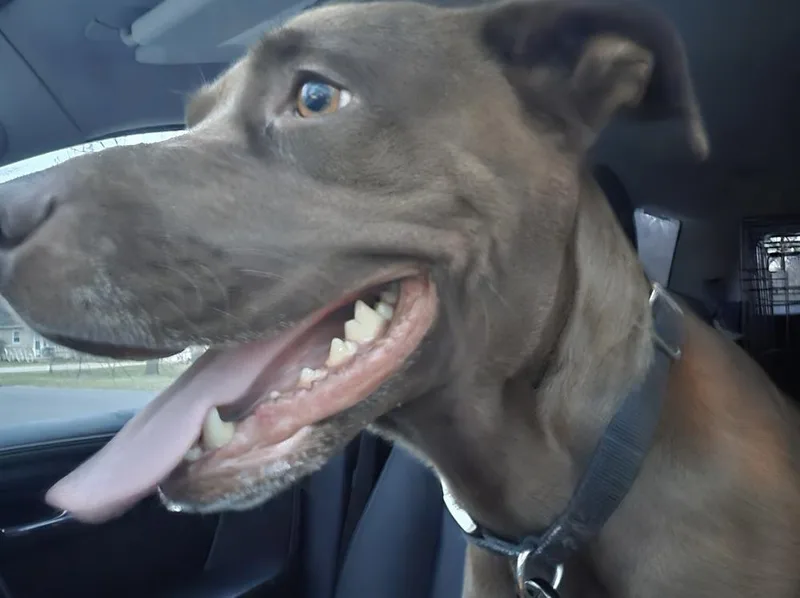Mocha K thumbnail 3