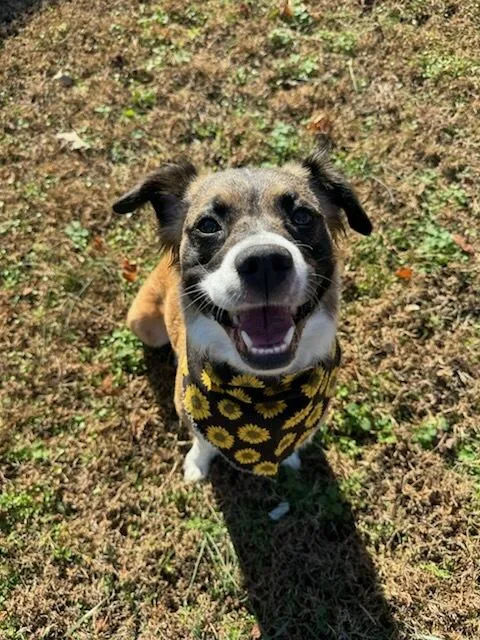 Penelope thumbnail 2