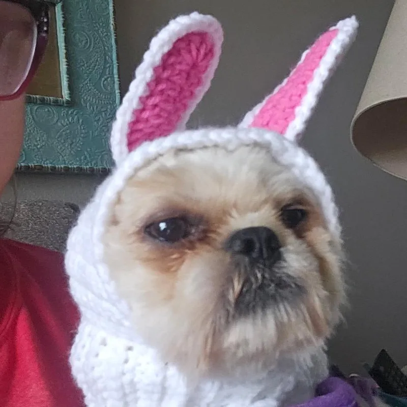 Furby thumbnail 5