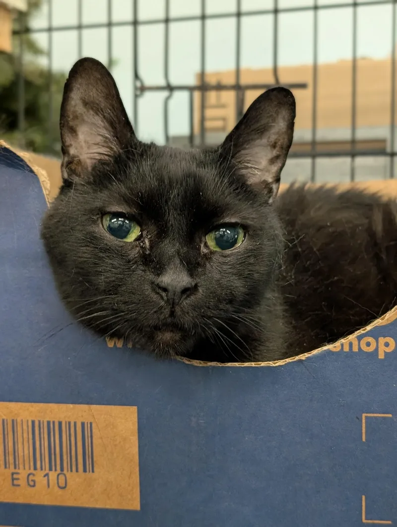 Binx