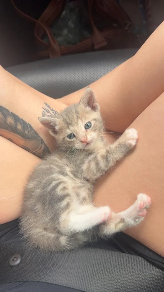 Missy thumbnail 3