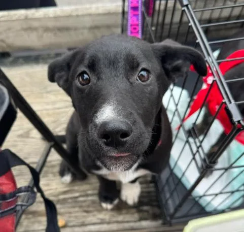 Nora thumbnail 2