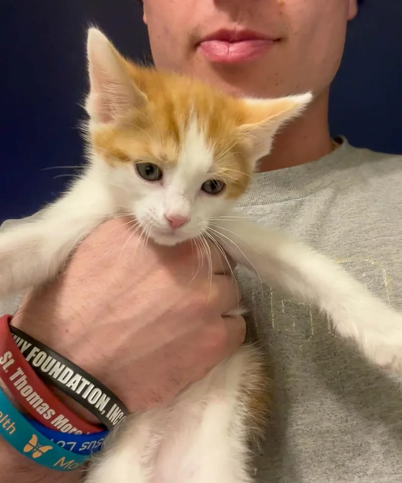 Toilet Birthday Calendar