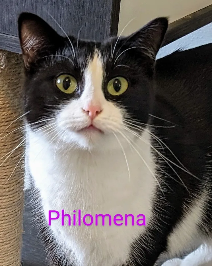 Philomena