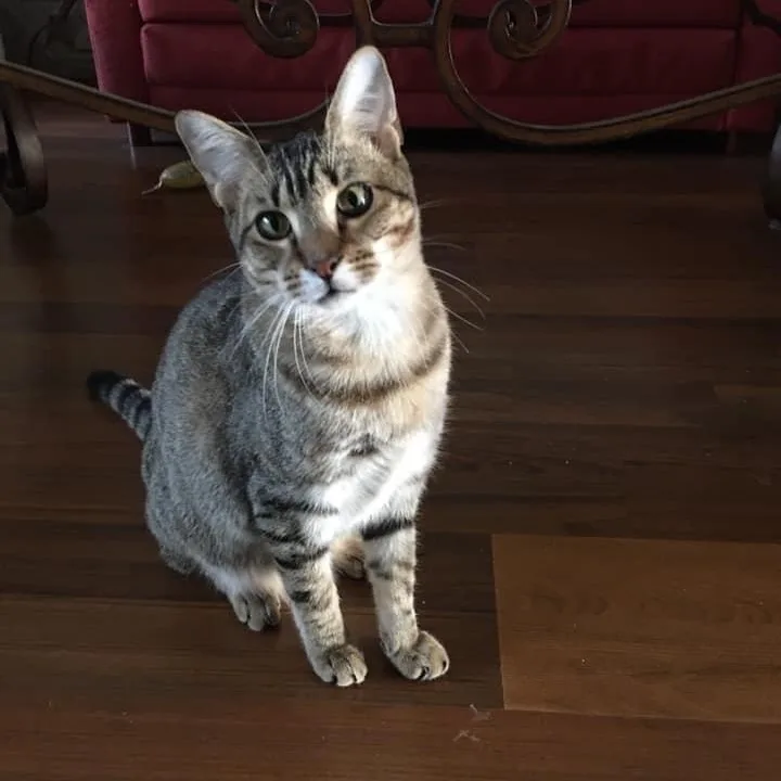 Millie& Finn thumbnail 2