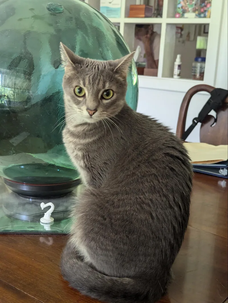 Millie& Finn thumbnail 3