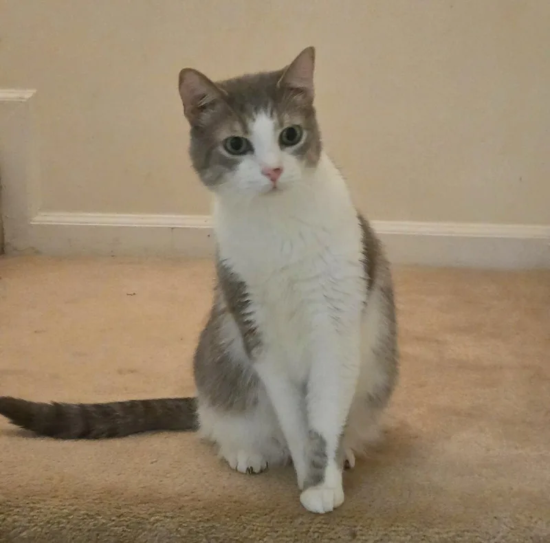 Edward & Eleanor BONDED