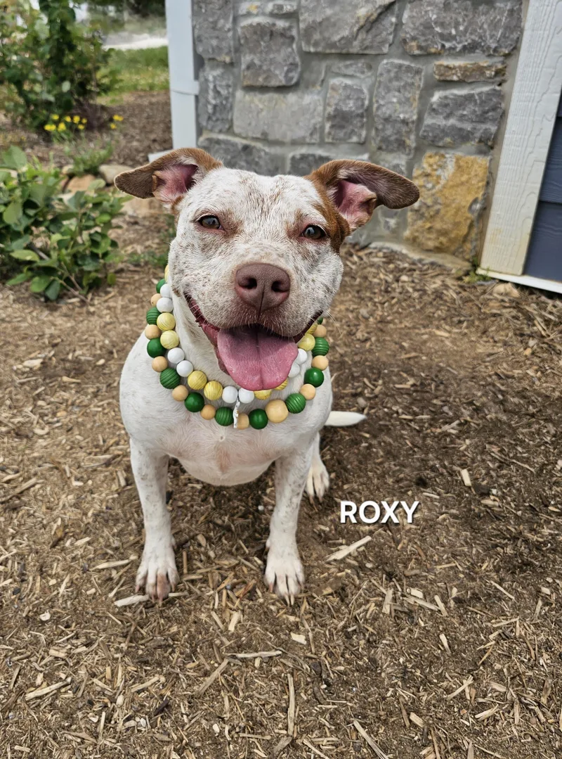 Roxy