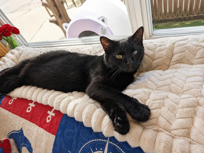 Sabrina