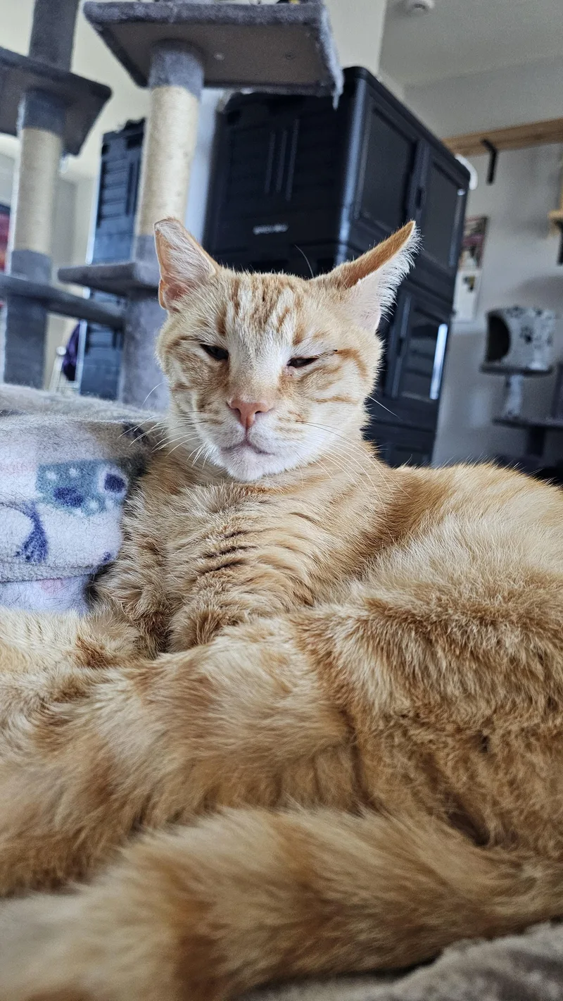 Tony Stark thumbnail 2