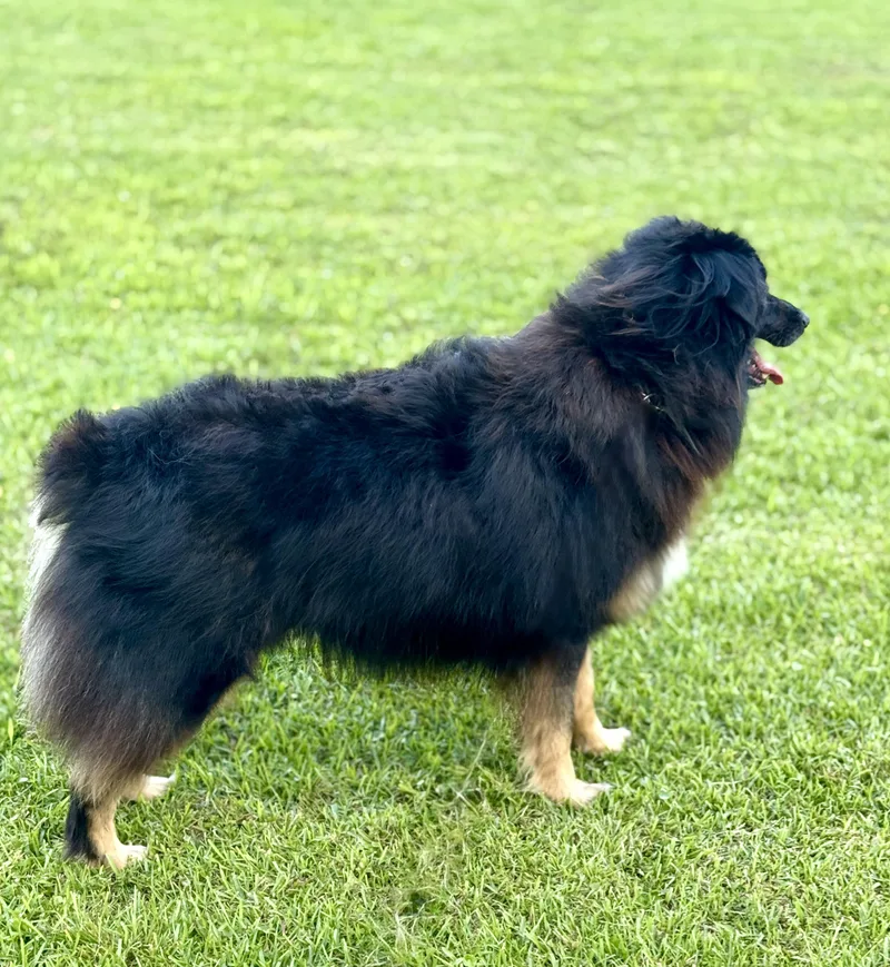 Max