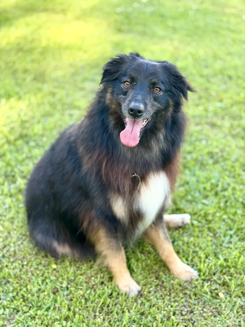 Max thumbnail 2