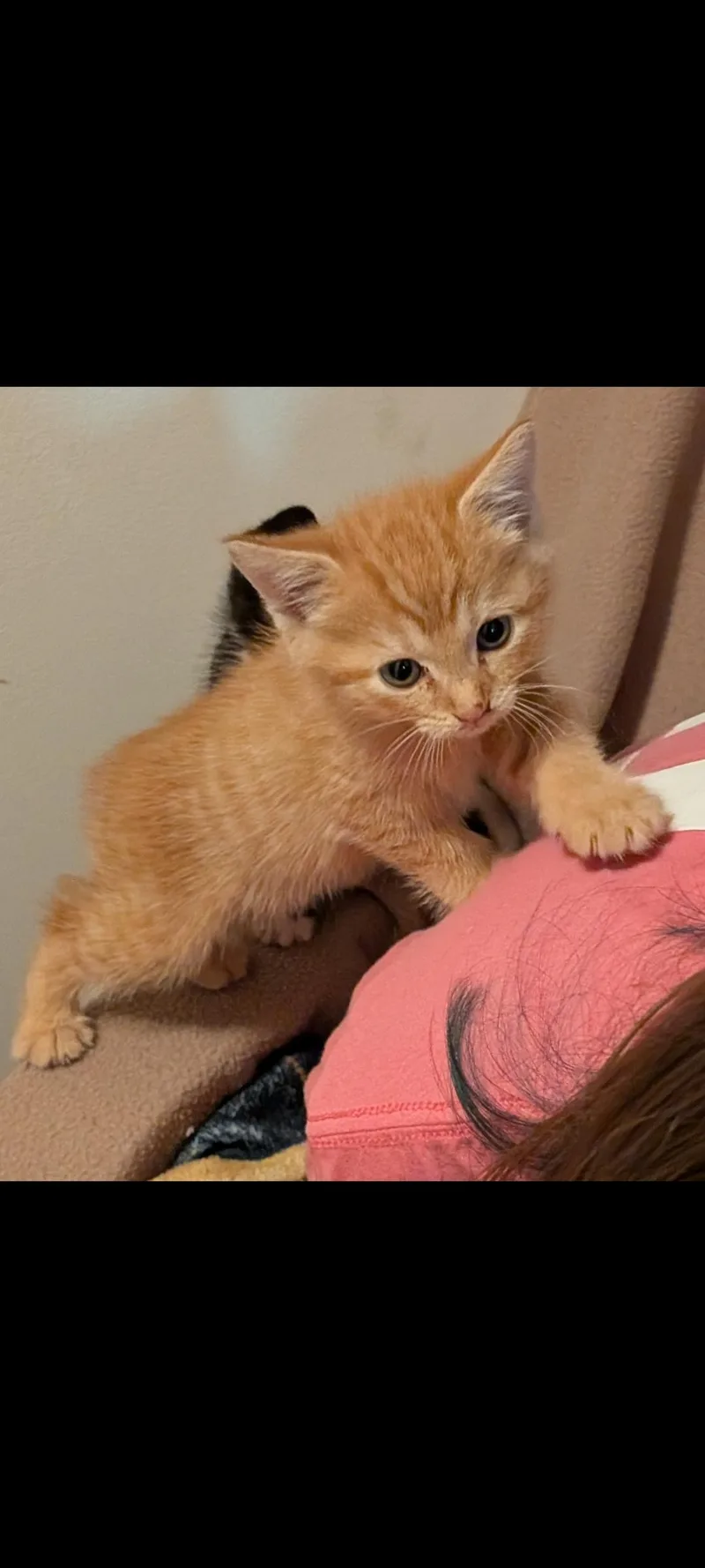 Firestar thumbnail 2