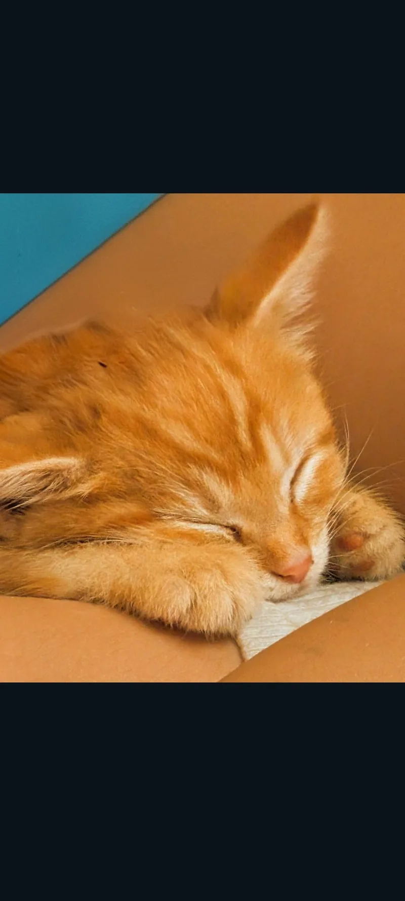 Firestar thumbnail 4