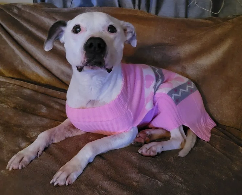 Lucy thumbnail 2
