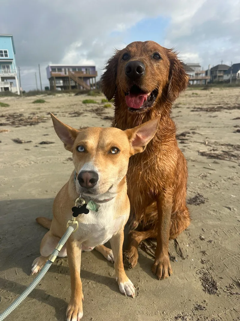 Sapphire thumbnail 5