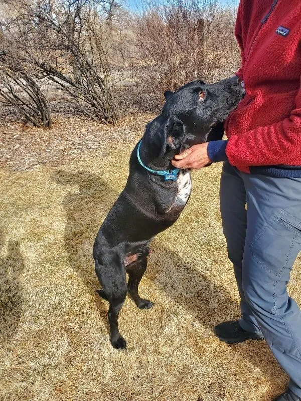 Barbossa thumbnail 3