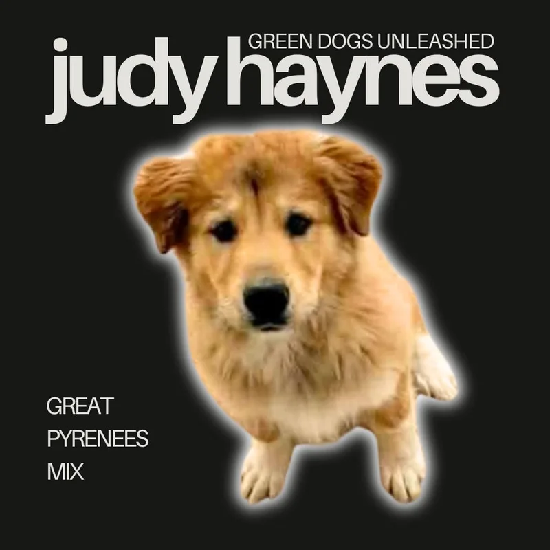 Judy Haynes thumbnail 3