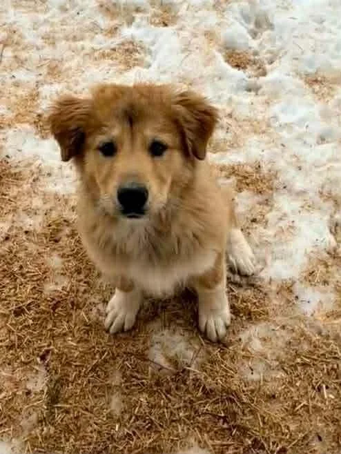 Judy Haynes thumbnail 4