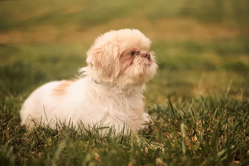 Wanda Transport thumbnail 3