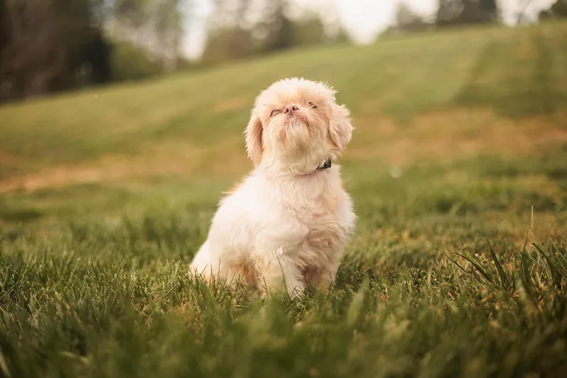 Wanda Transport thumbnail 4