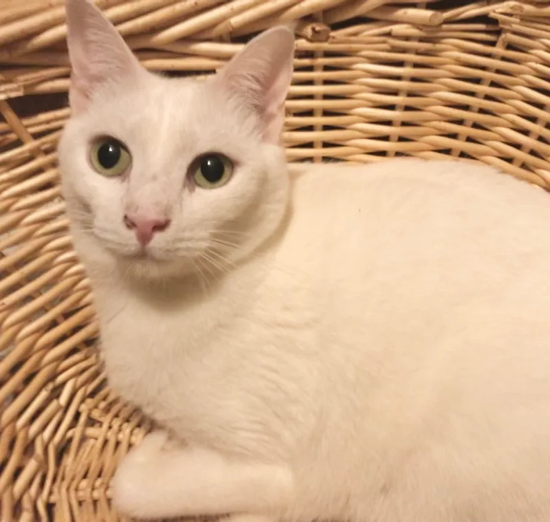 Lightning thumbnail 3