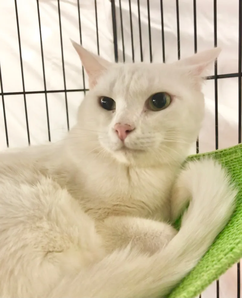 Lightning thumbnail 4