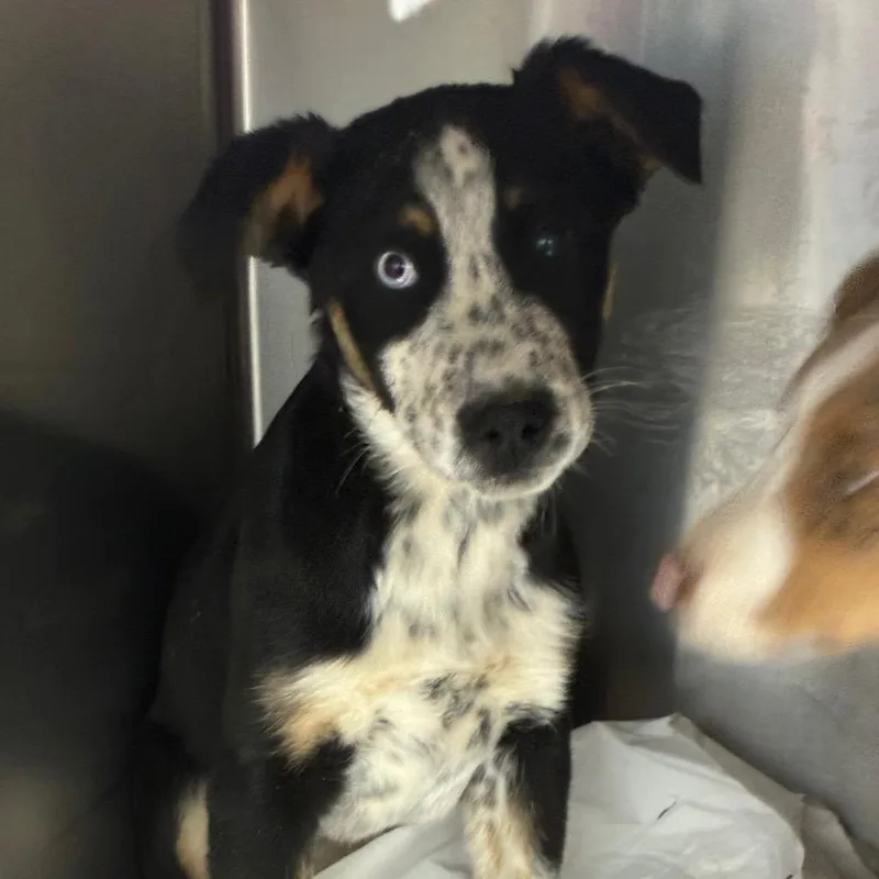 Sprinkles thumbnail 2