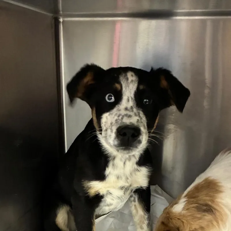 Sprinkles thumbnail 3