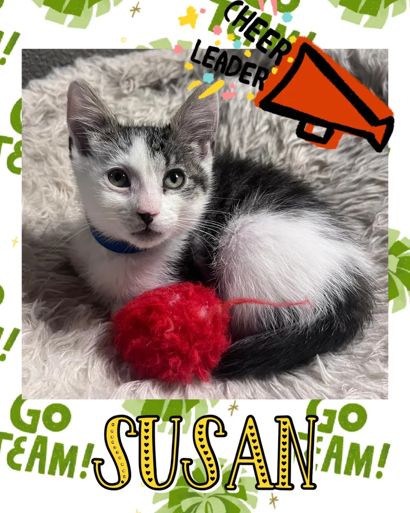Susan thumbnail 3