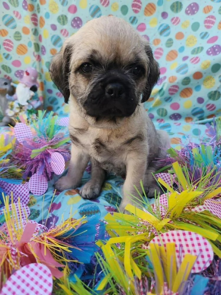 Matterhorn thumbnail 2