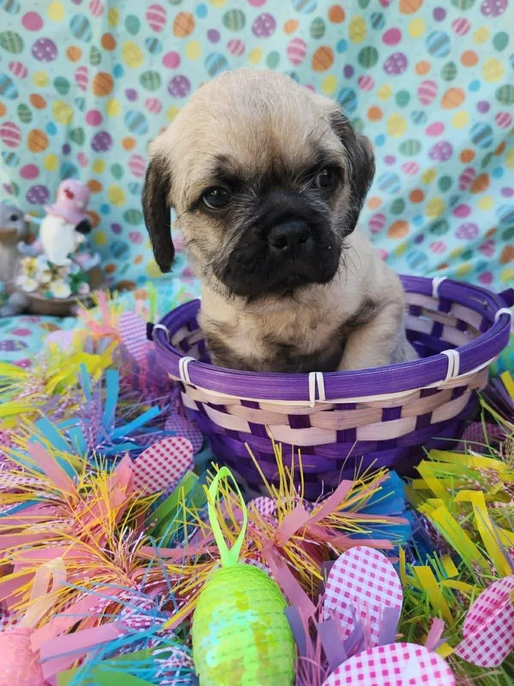 Matterhorn thumbnail 3