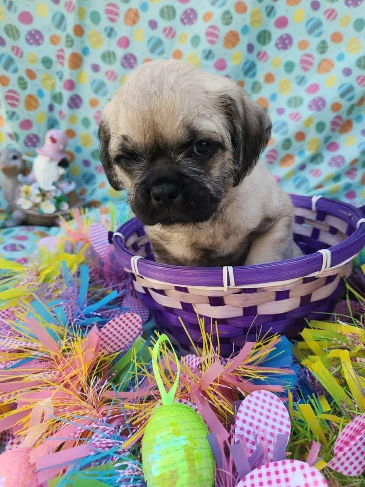 Matterhorn thumbnail 4