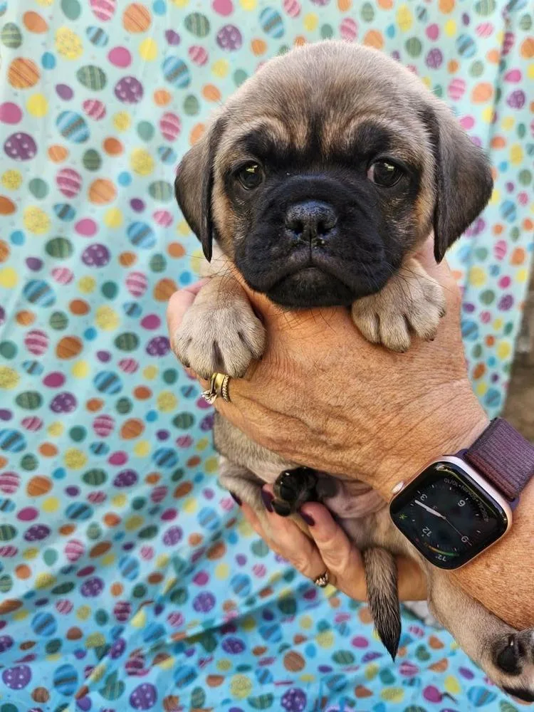 Matterhorn thumbnail 5