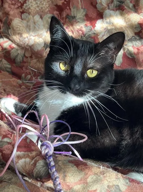 Coco Anna thumbnail 2