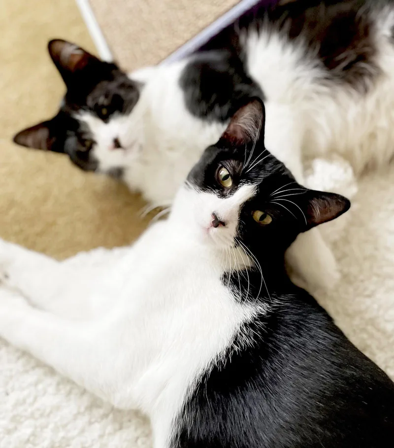 Olive & Dottie thumbnail 2