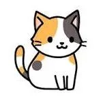 Callie