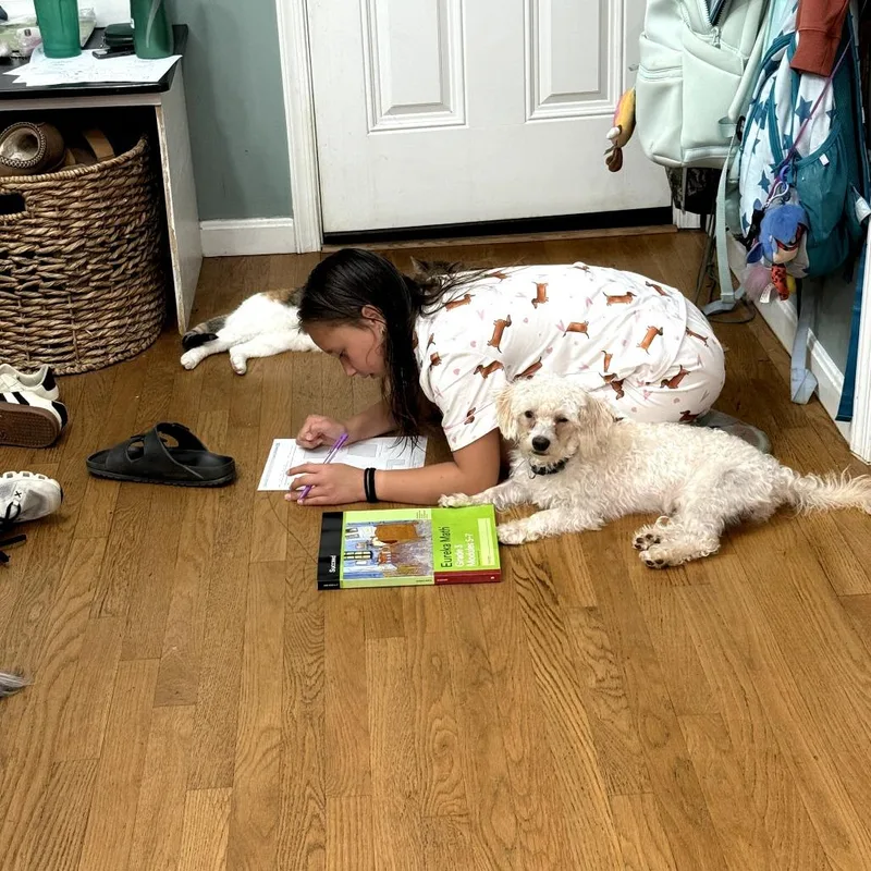 A young small-sized male White / Cream Mixed Breed dog named ShorTee for adoption in Rockville, MD