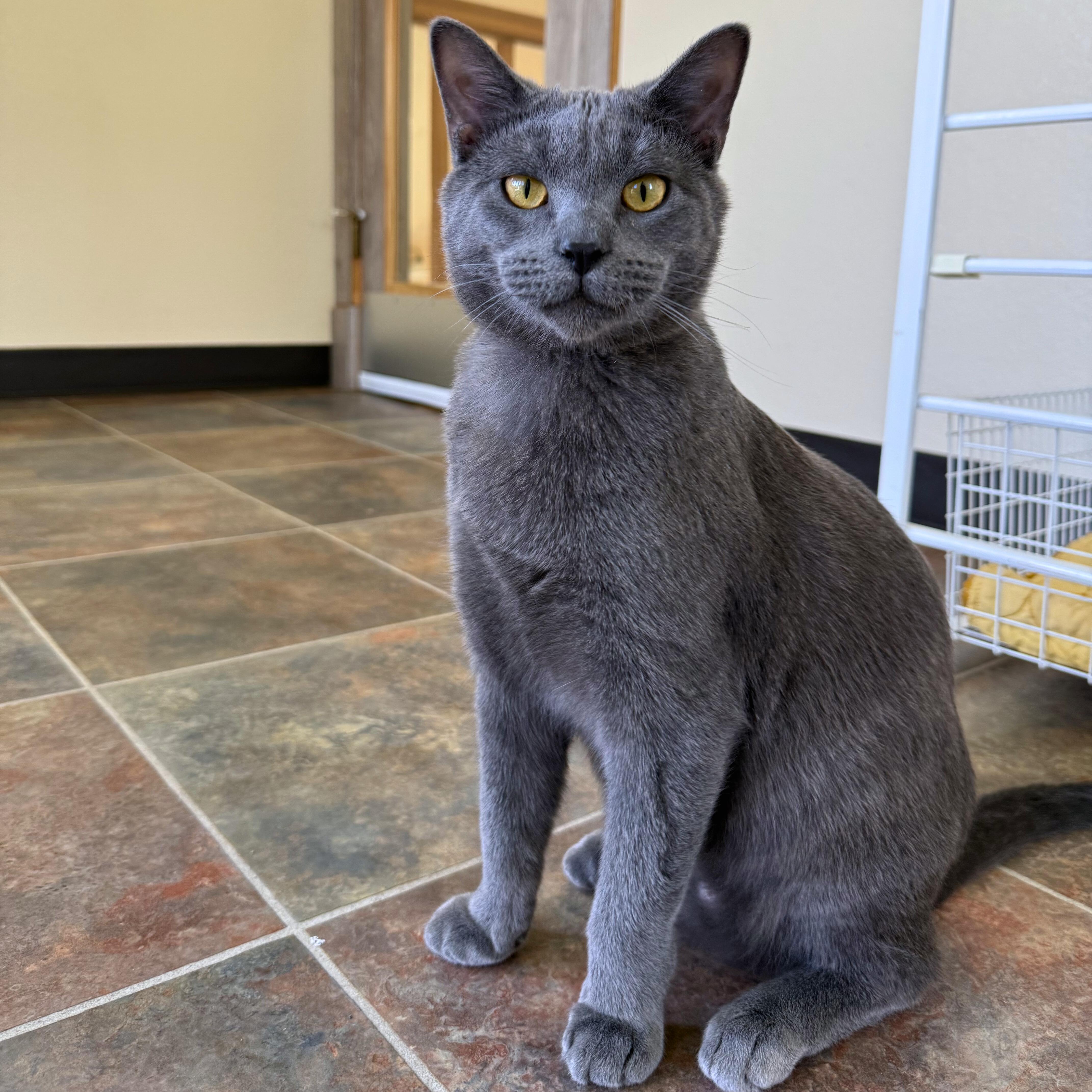 Ron And Hermione thumbnail 4