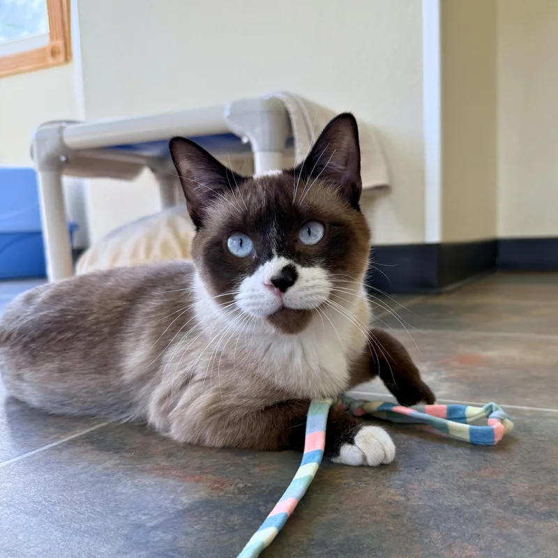 Ron And Hermione thumbnail 5