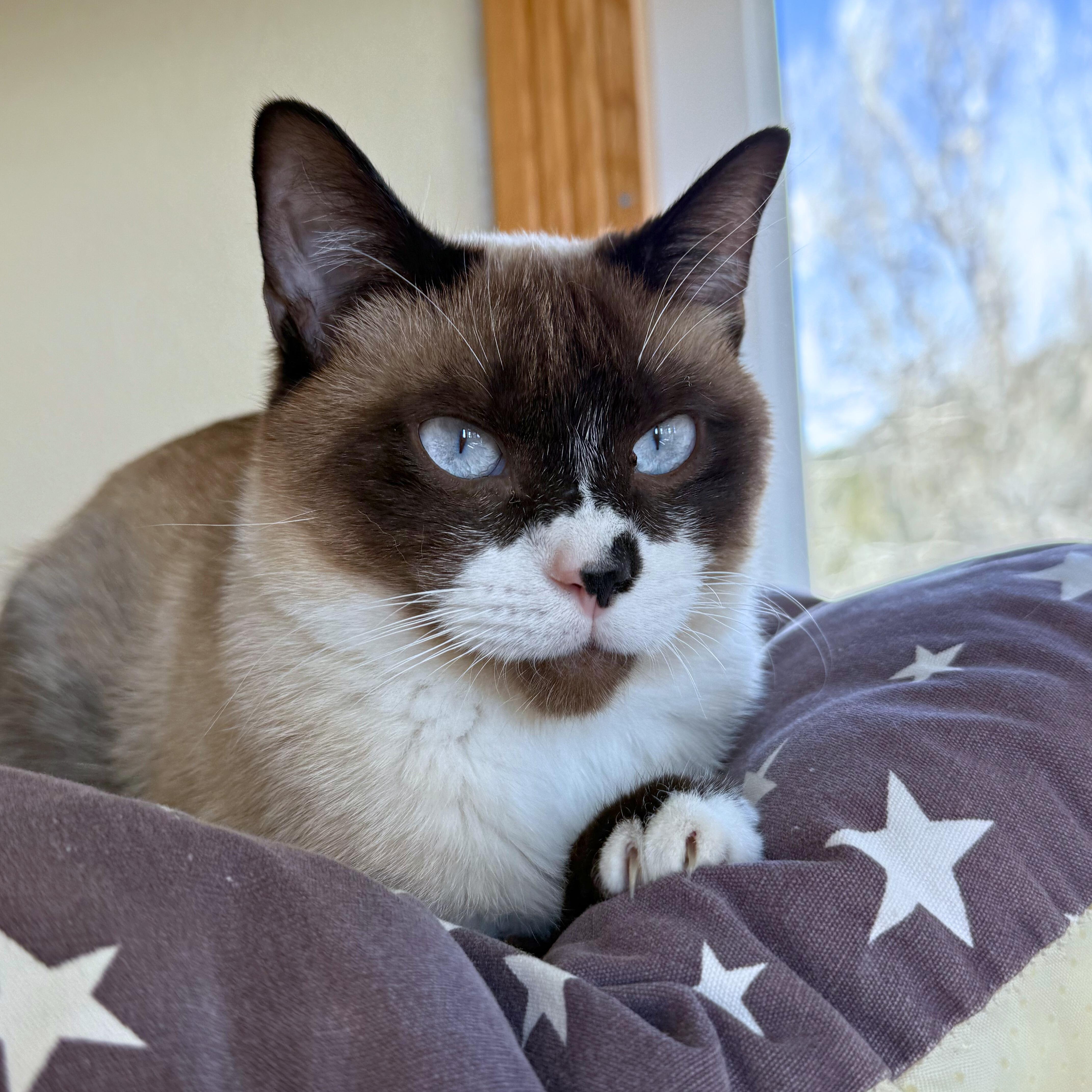 Ron And Hermione thumbnail 6