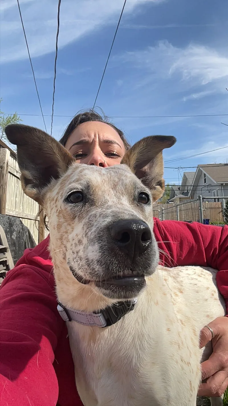 Roxie thumbnail 5
